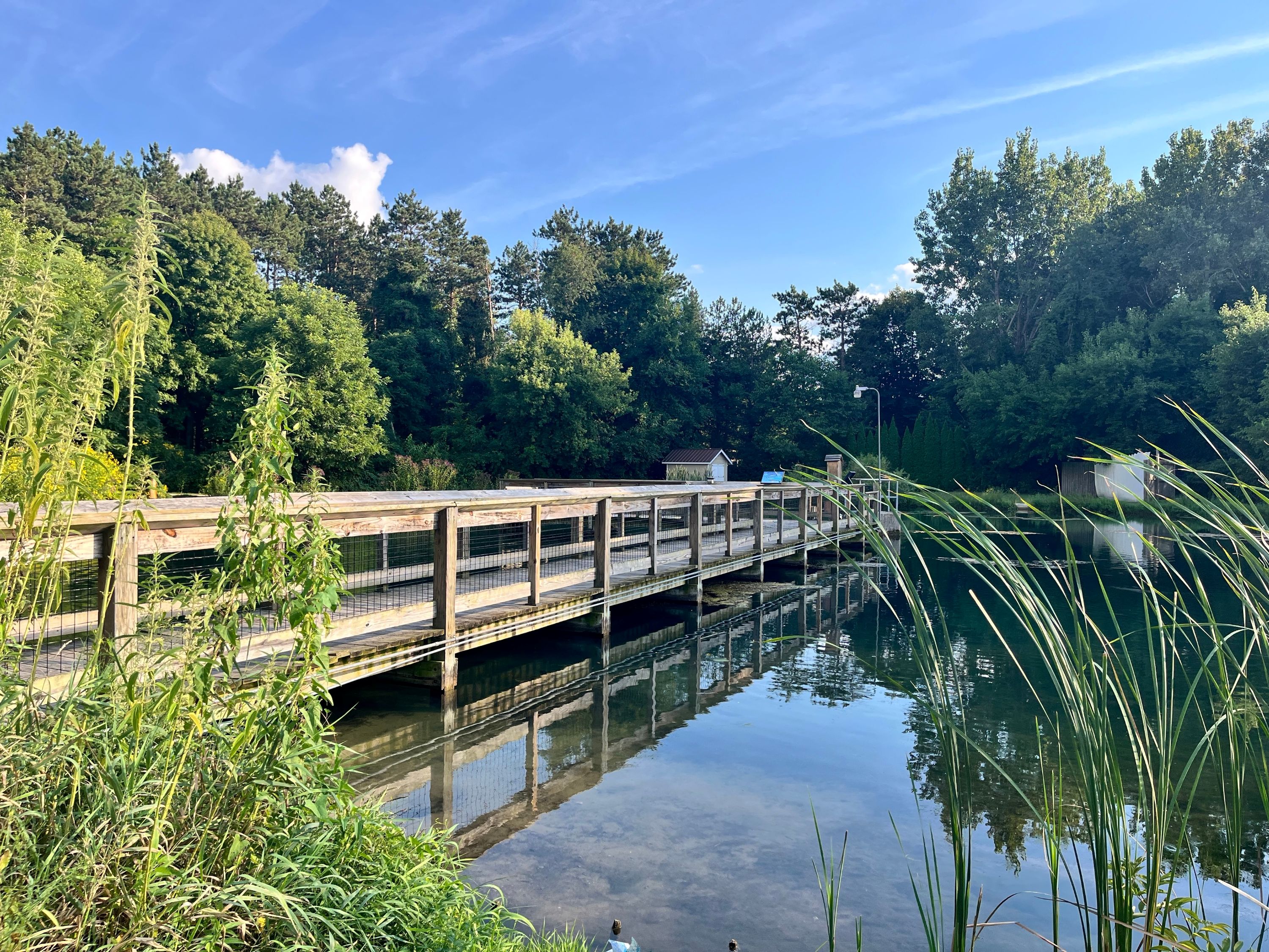 Mattawan Shutterstock 2669954223