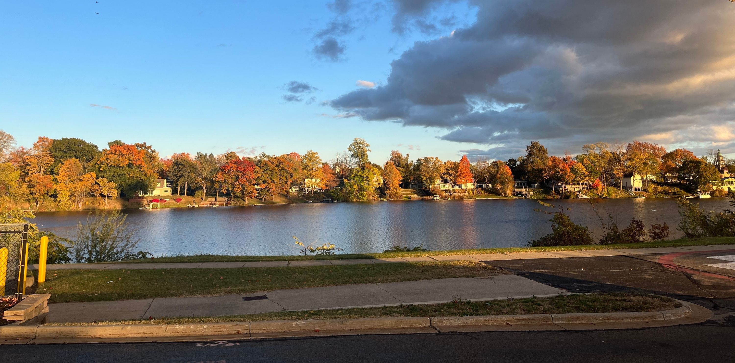 Paw Paw Shutterstock 2534806035